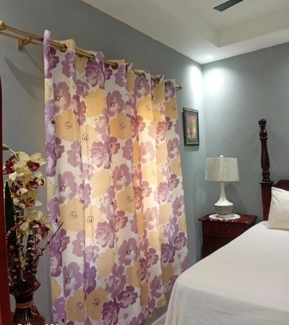 Atro Travels#Phoenix Park Village#Jacuzzi#1 Br#Ac Portmore Apartmán