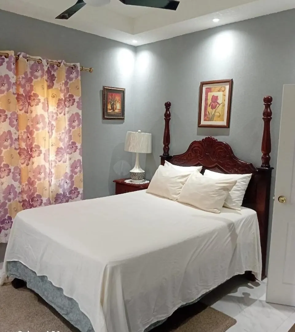 Atro Travels#Phoenix Park Village#Jacuzzi#1 Br#Ac Portmore