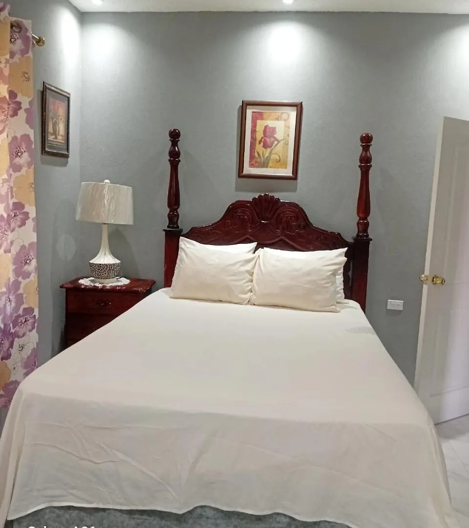 Apartmán Atro Travels#Phoenix Park Village#Jacuzzi#1 Br#Ac Portmore Jamajka